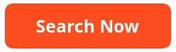 orange search now cta button